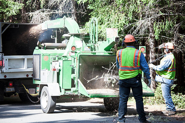 Best Aeration Services  in Buckner, KY